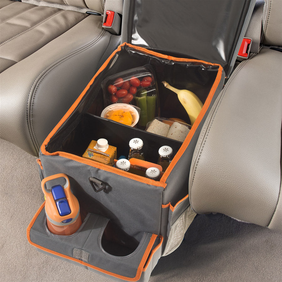Back seat cooler 2025