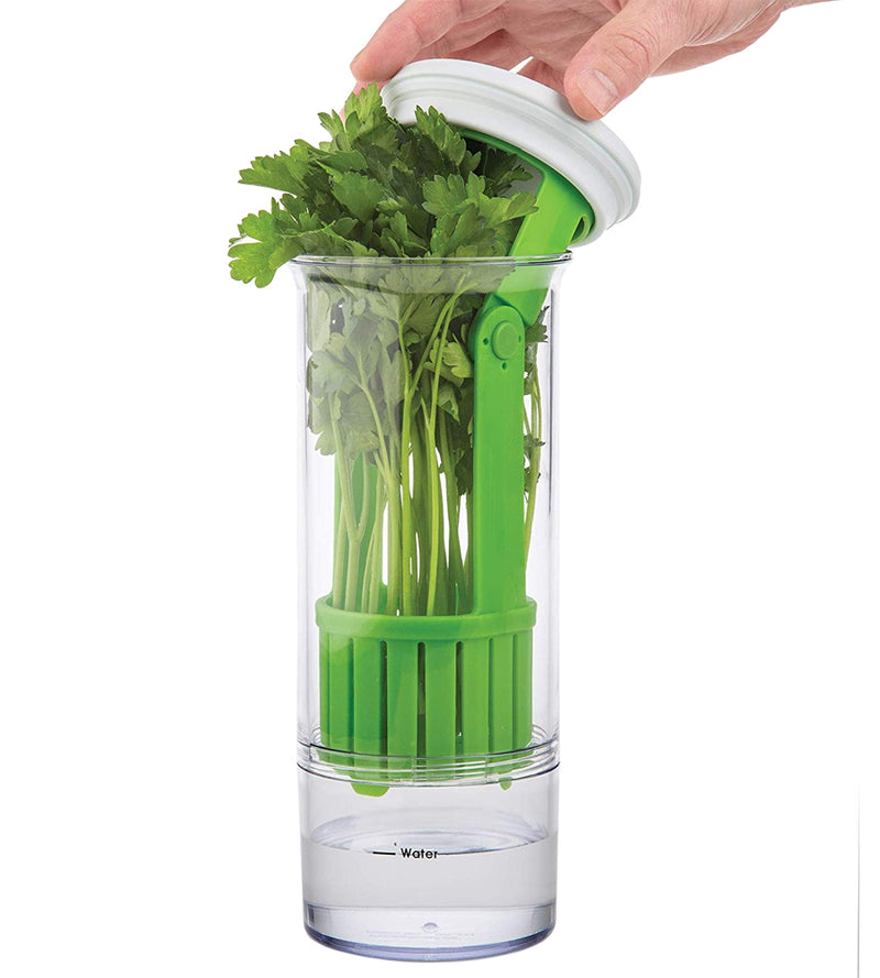 Progressive Fresh Herb Keeper