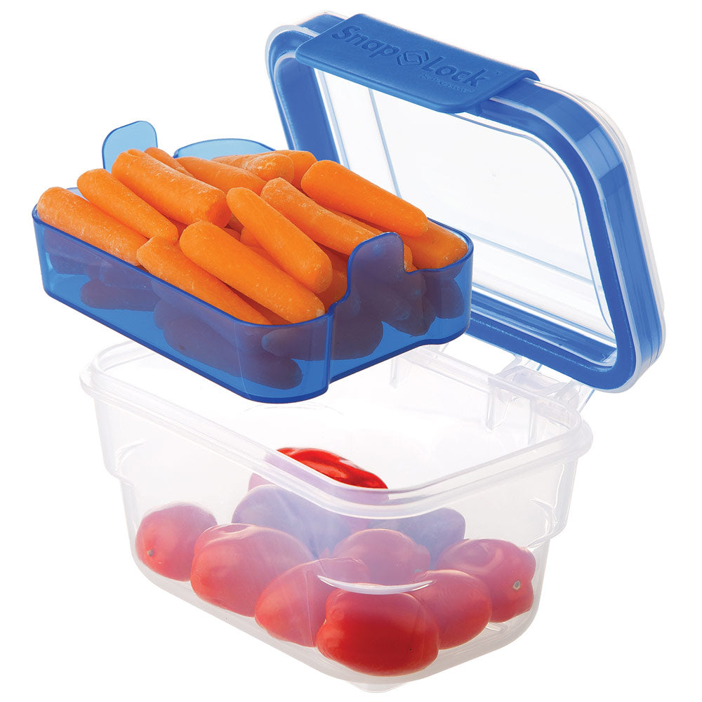 Progressive Snap-Lock Snack Container – Organize-It