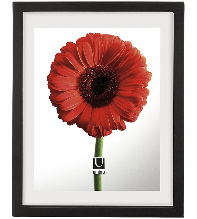 Floating Document or Picture Frame - Black – Organize-It