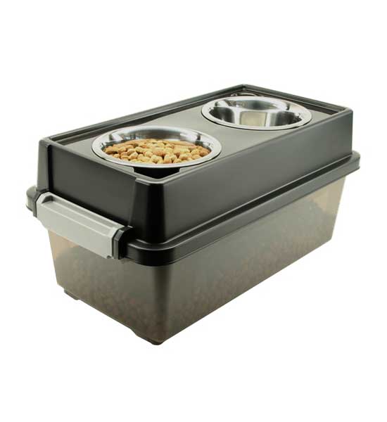 Raised Dog Bowl Set